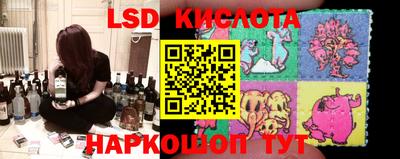 PSILOCYBIN Кунгур
